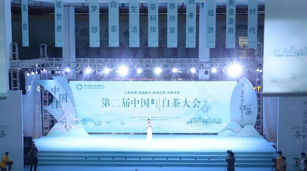 第二届中国白茶大会在福建政和开幕！