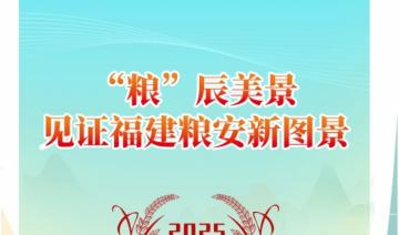 “粮”辰美景，见证福建粮安新图景